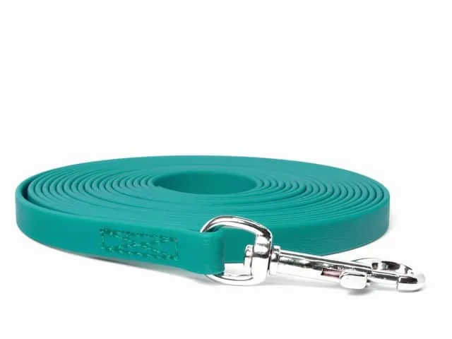 15' Teal BioThane Leash