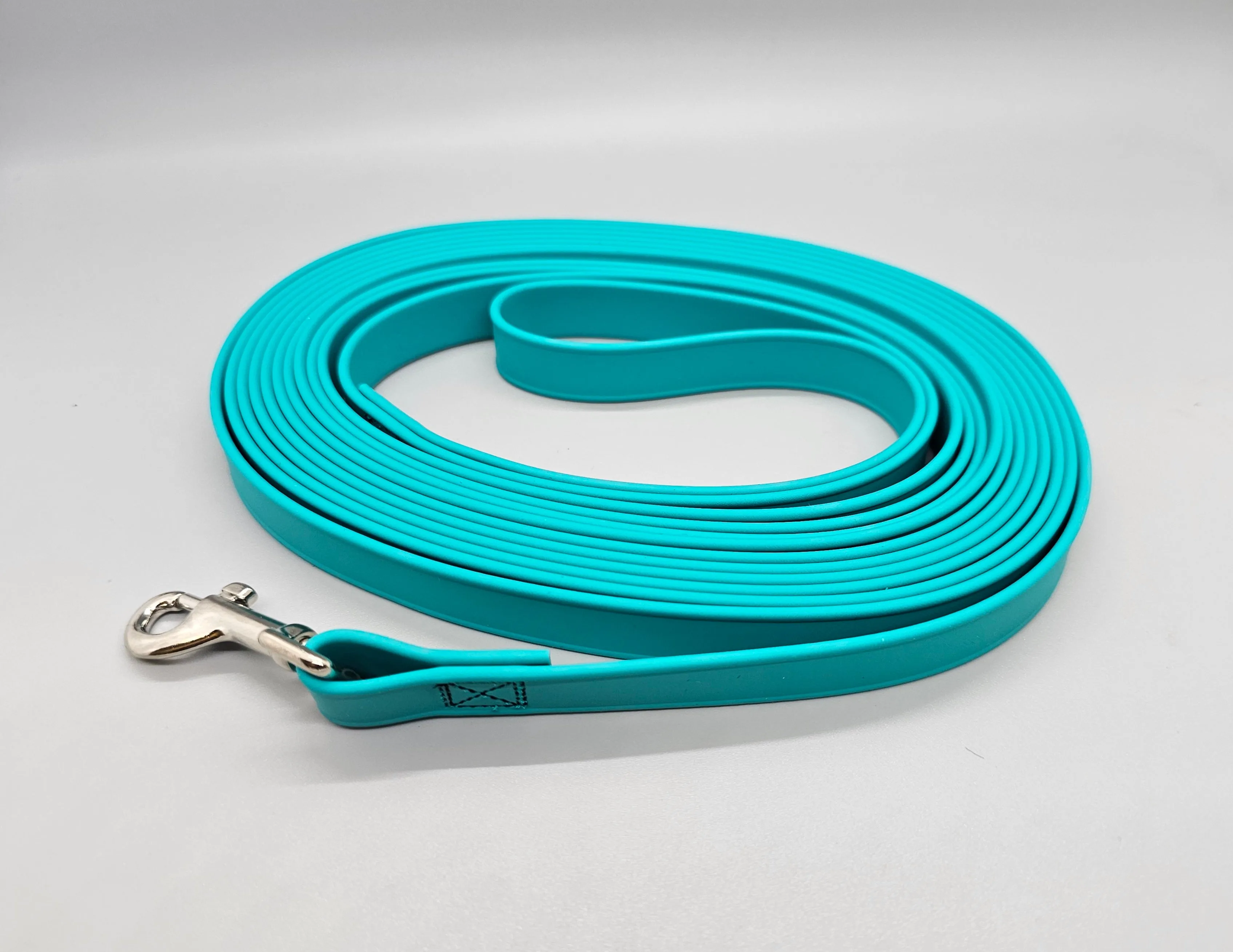 15' Teal BioThane Leash