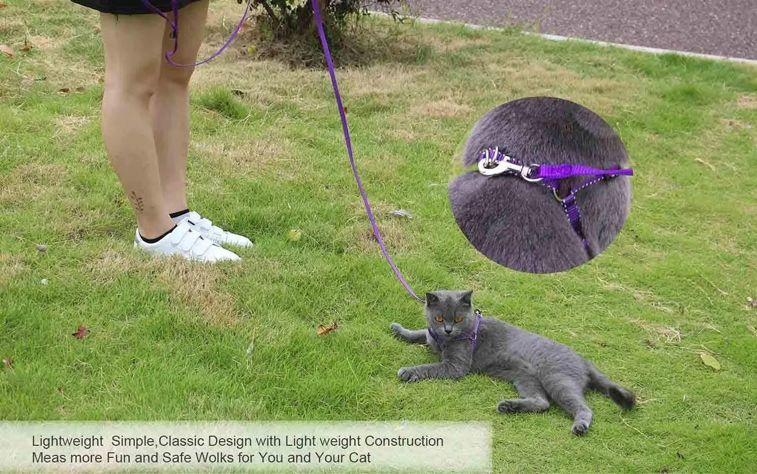 AMAGOOD 6 FT Puppy/Leash, Strong Traditional Style with Easy to Use Collar Hook, Great for Small, Medium and Large Dogs (5/8in x 6 ft, Purple)