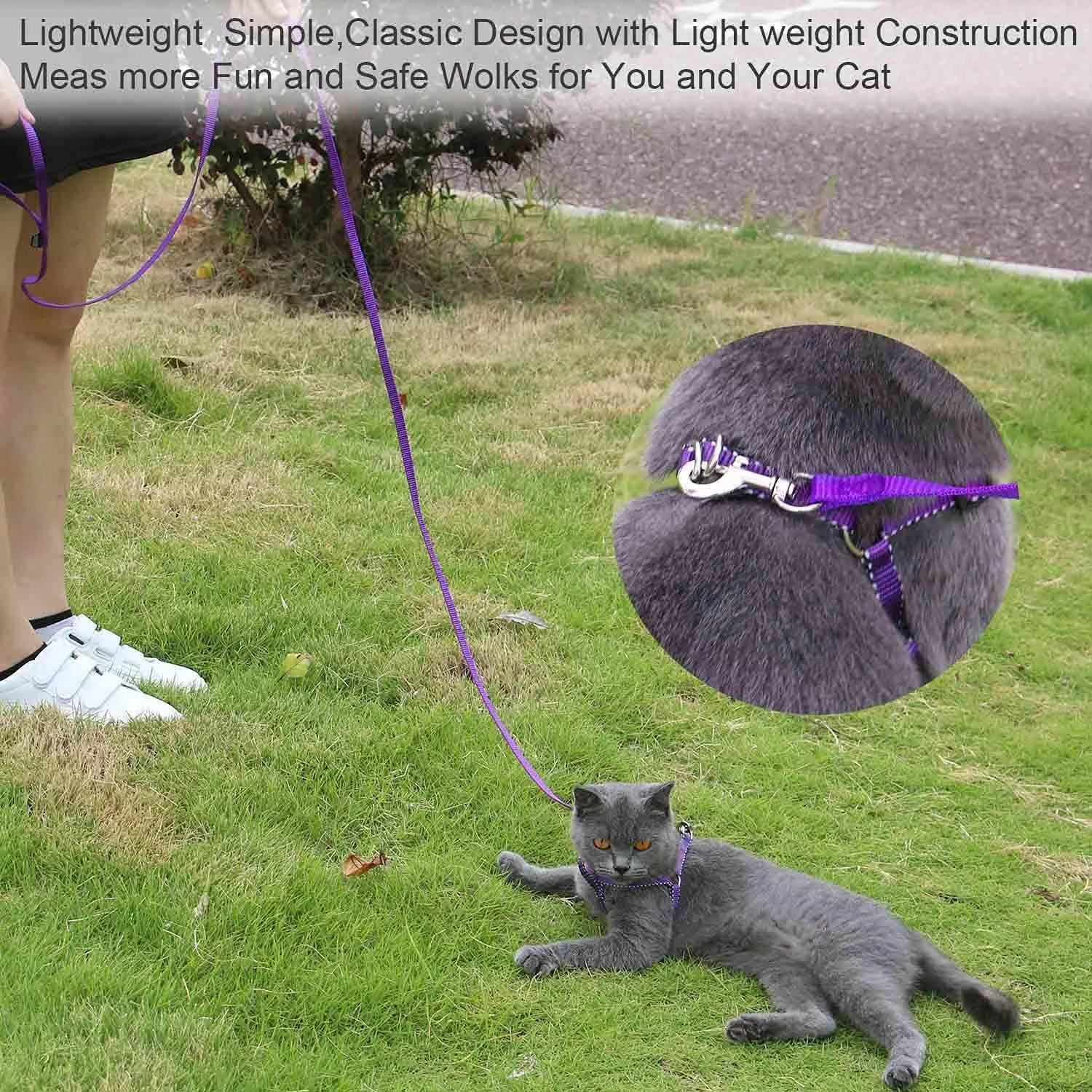 AMAGOOD 6 FT Puppy/Leash, Strong Traditional Style with Easy to Use Collar Hook, Great for Small, Medium and Large Dogs (5/8in x 6 ft, Purple)