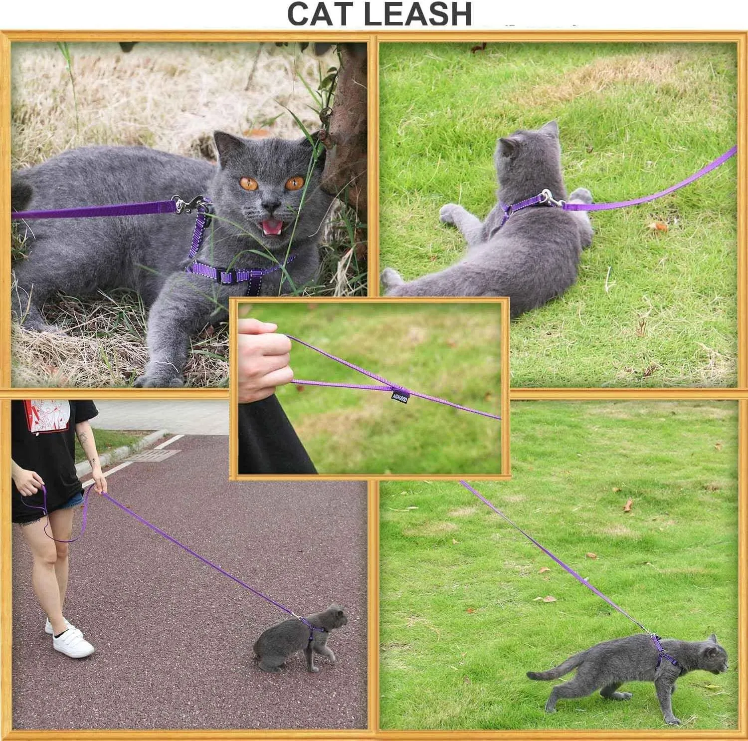 AMAGOOD 6 FT Puppy/Leash, Strong Traditional Style with Easy to Use Collar Hook, Great for Small, Medium and Large Dogs (5/8in x 6 ft, Purple)