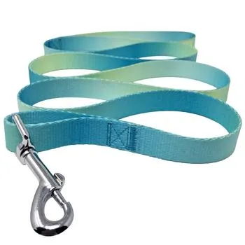 American River Ombre Leash