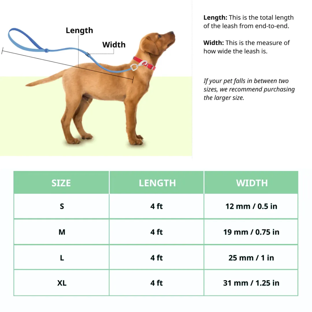 Basil Padded Dog Leash – Brown, Soft & Comfortable Grip Leash for Walking and Training Dogs of All Sizes