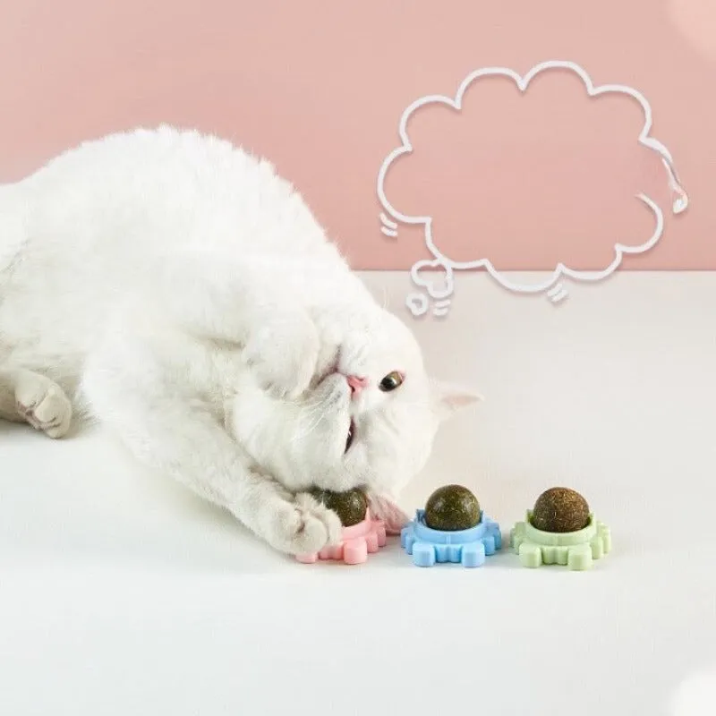 Cat Toy Catnip Ball