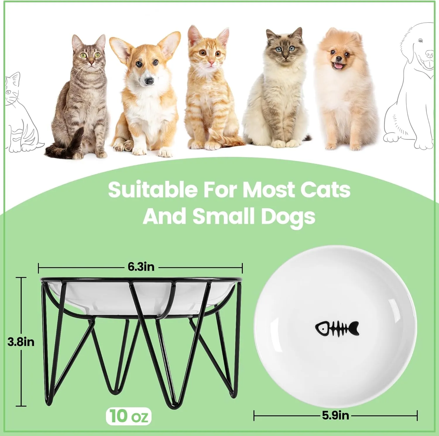 Ceramic Cat Bowls, 2 Pack - Raised, Whisker Friendly, Anti-Vomiting Cat Food Plates - Hygienic, Secure Material, Elegant Stand, 10 oz, for Indoor Cats & Kittens