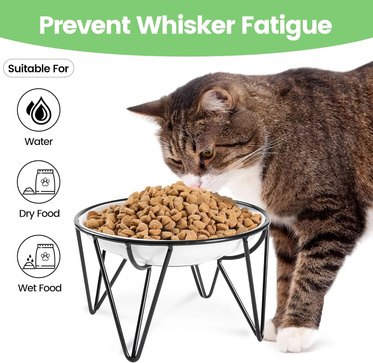 Ceramic Cat Bowls, 2 Pack - Raised, Whisker Friendly, Anti-Vomiting Cat Food Plates - Hygienic, Secure Material, Elegant Stand, 10 oz, for Indoor Cats & Kittens