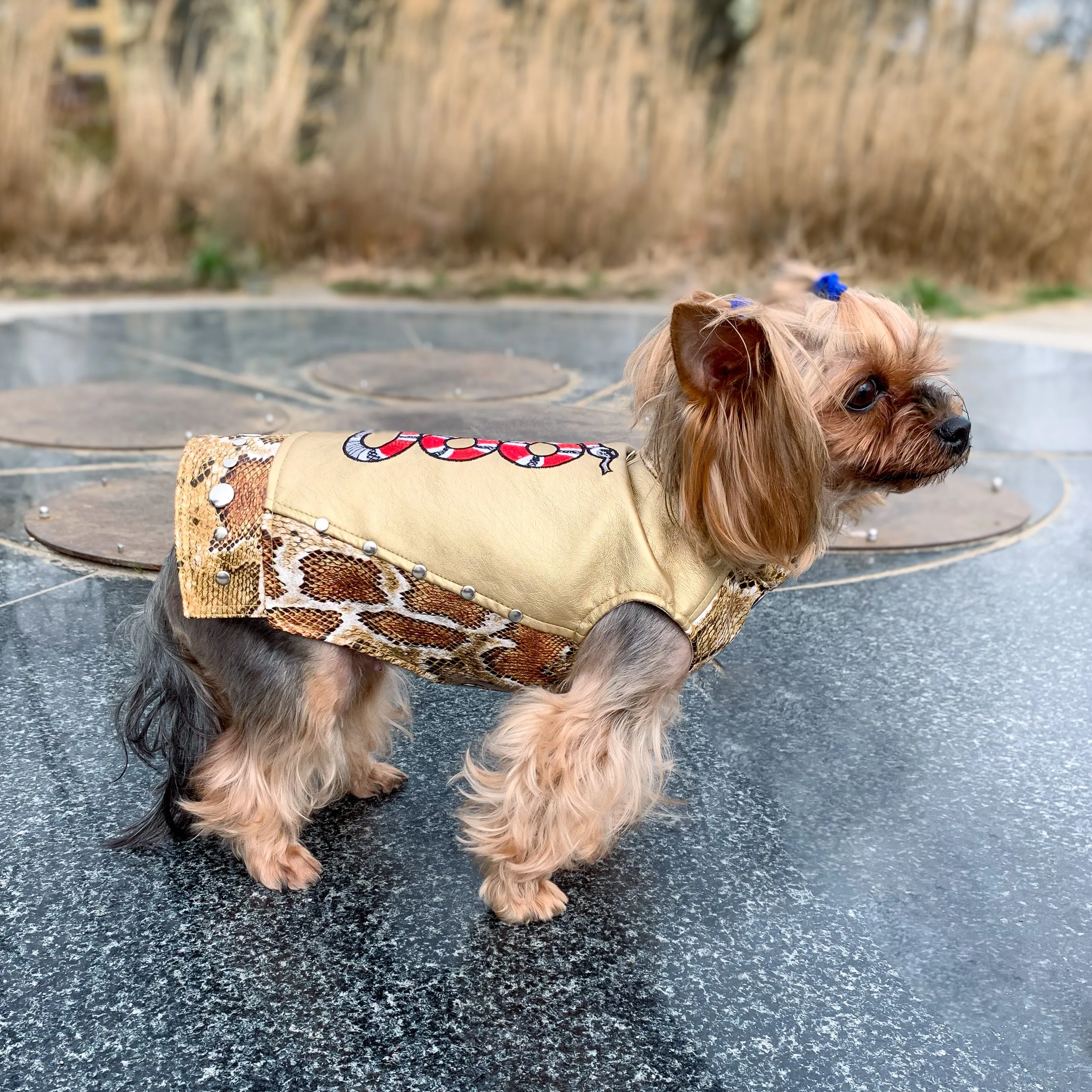 Designer leather dog vest with machine embroidery