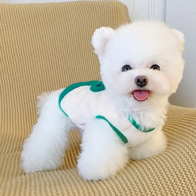 Dinosaur Button Through Pet Jacket Vest