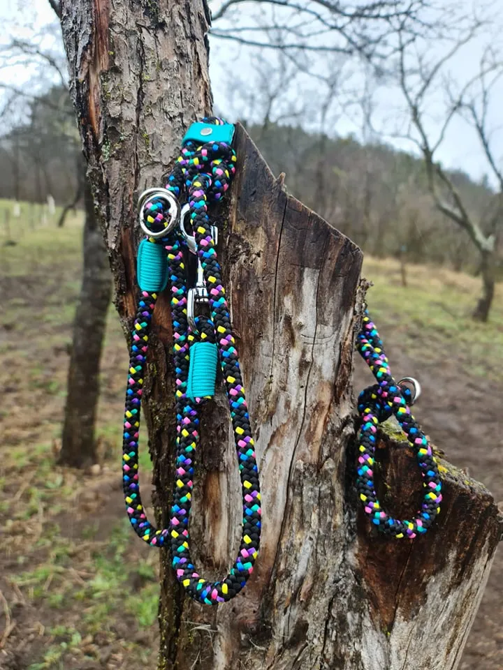 Disco Dog Loop Leash