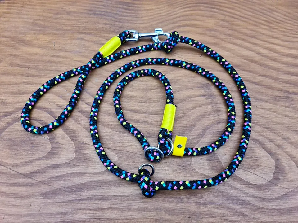 Disco Dog Loop Leash