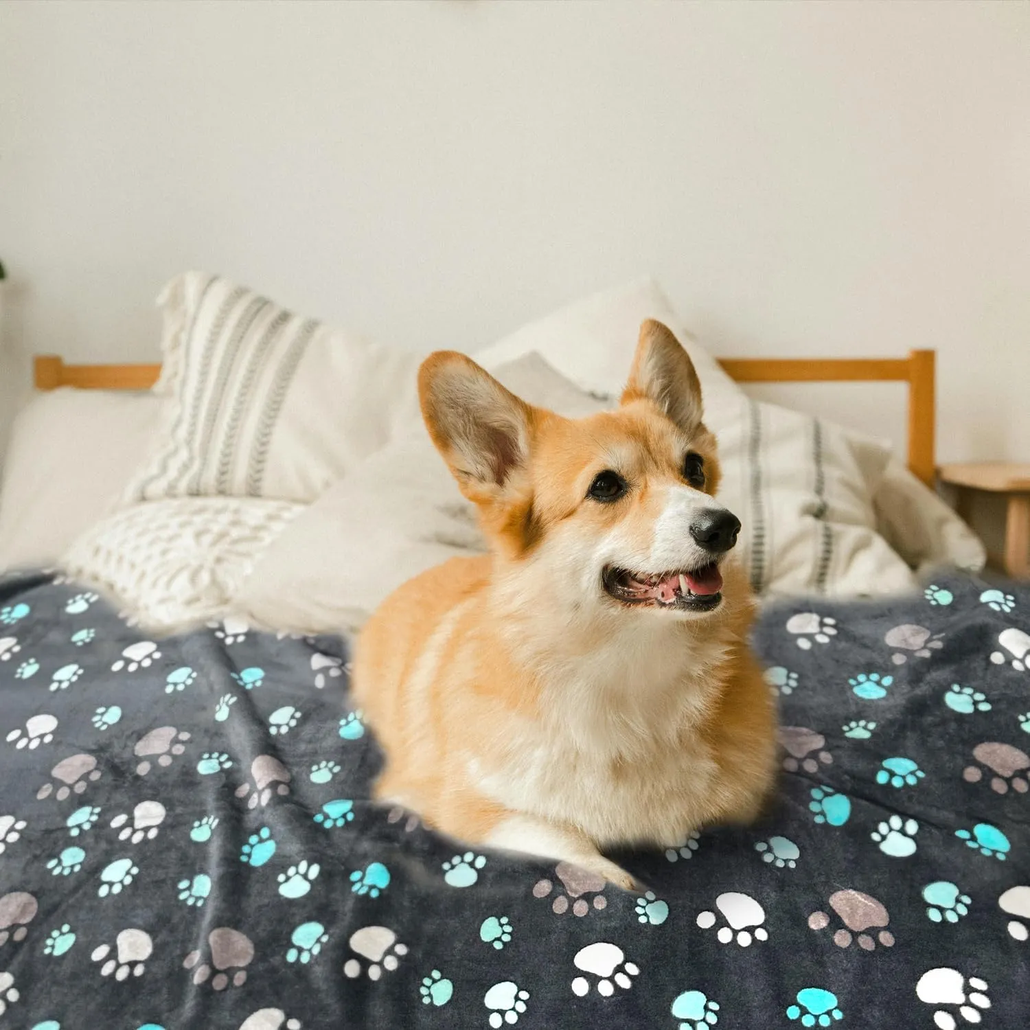 Dog Blankets for Large Dogs, 1 Pc Dog Blanket Washable, Soft Fluffy Flannel Pet Blanket Mat Cover for Bed Couch, Cute Print Puppy Blanket 60" x 50"