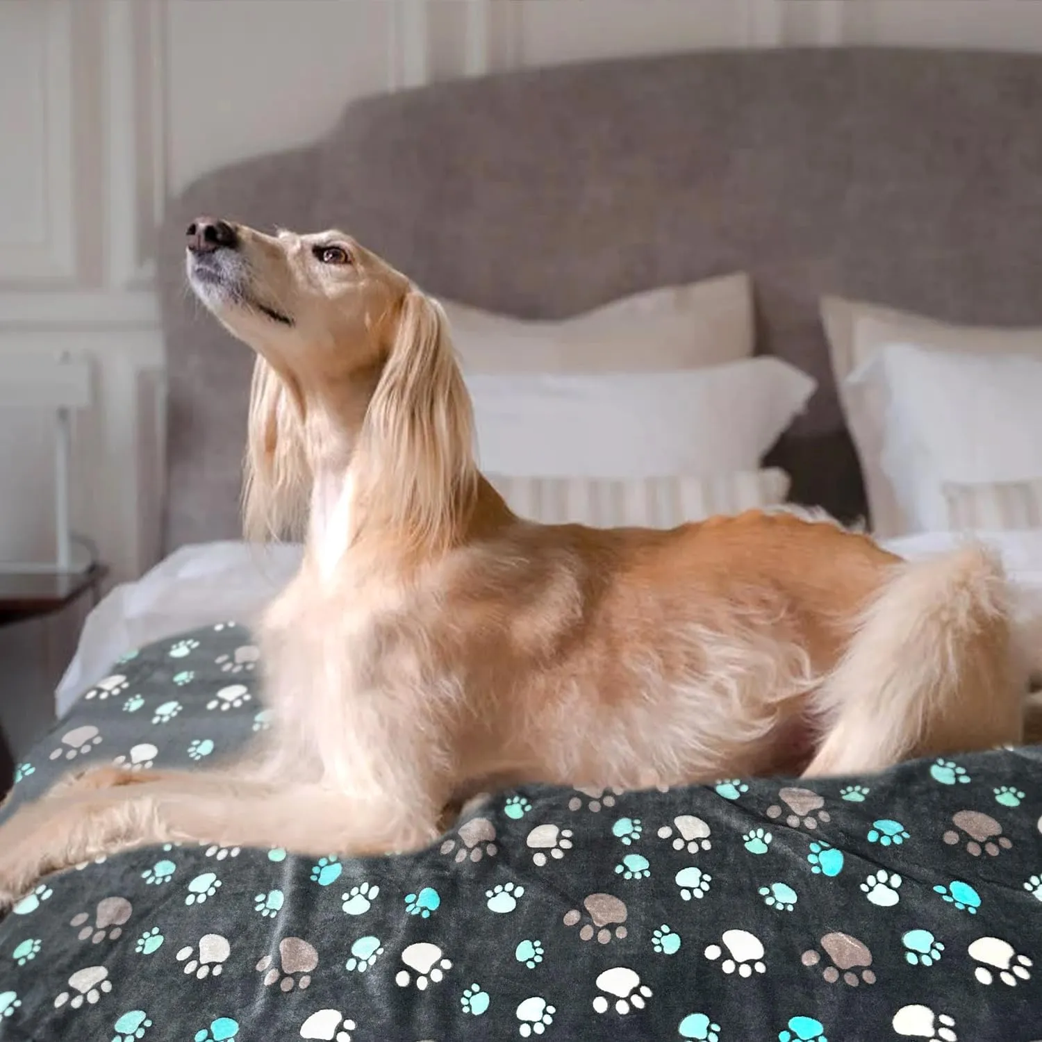 Dog Blankets for Large Dogs, 1 Pc Dog Blanket Washable, Soft Fluffy Flannel Pet Blanket Mat Cover for Bed Couch, Cute Print Puppy Blanket 60" x 50"