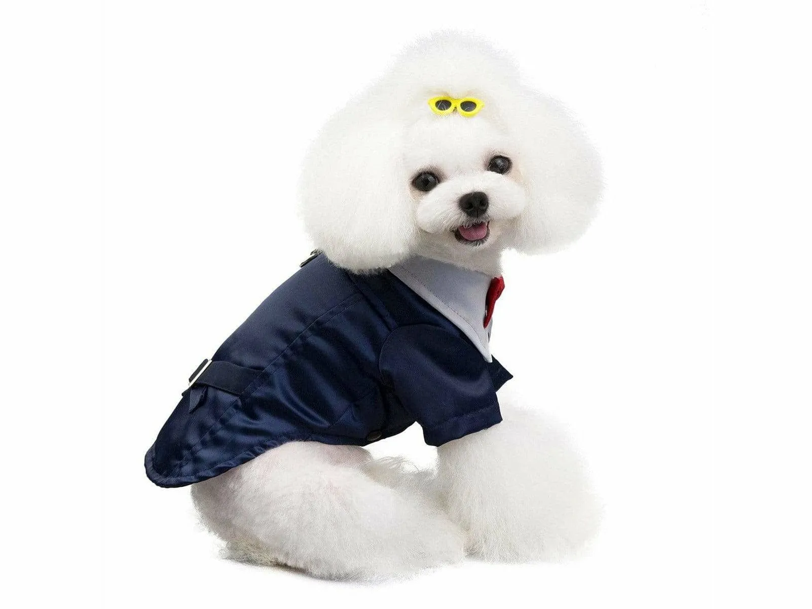 dog clothes blue S 201907015