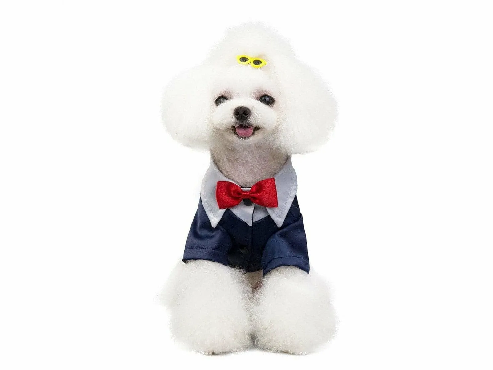 dog clothes blue S 201907015