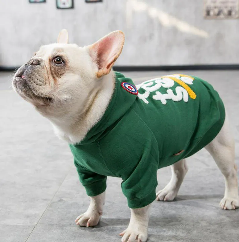 Fadouxelari pug dog sweater autumn and winter clothes
