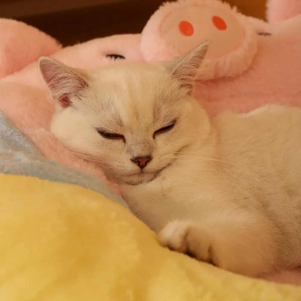 Four Seasons Pink Pig-Shaped Cat House: Cozy Round Cat Bed, Donut Cat Litter, and Dog Basket for Cats, Puppies, and Small Animals | Adorable Pet Sofa for All-Year Comfort | Pet Supplies