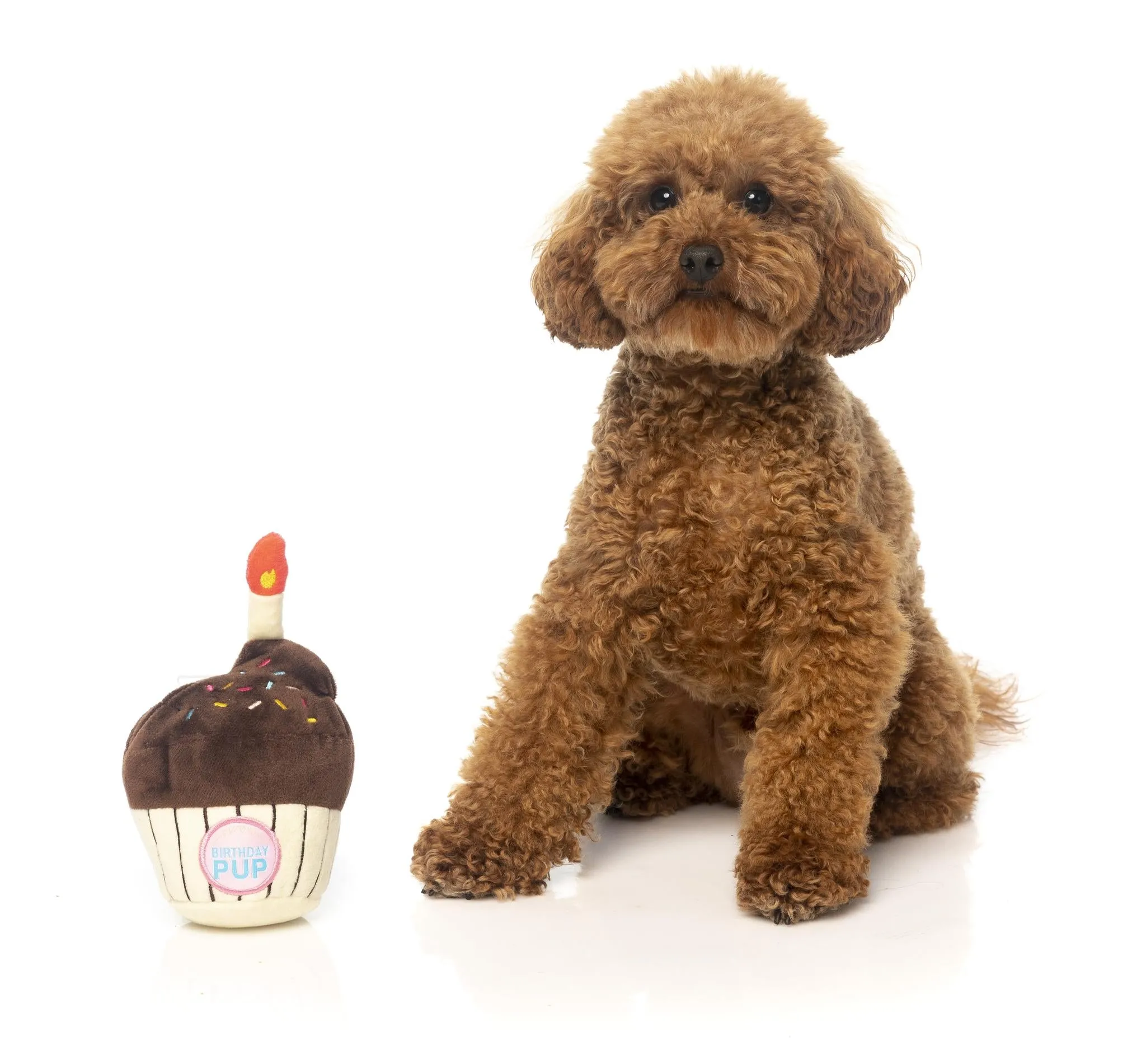 FuzzYard Birthday Cupcake Dog Toy