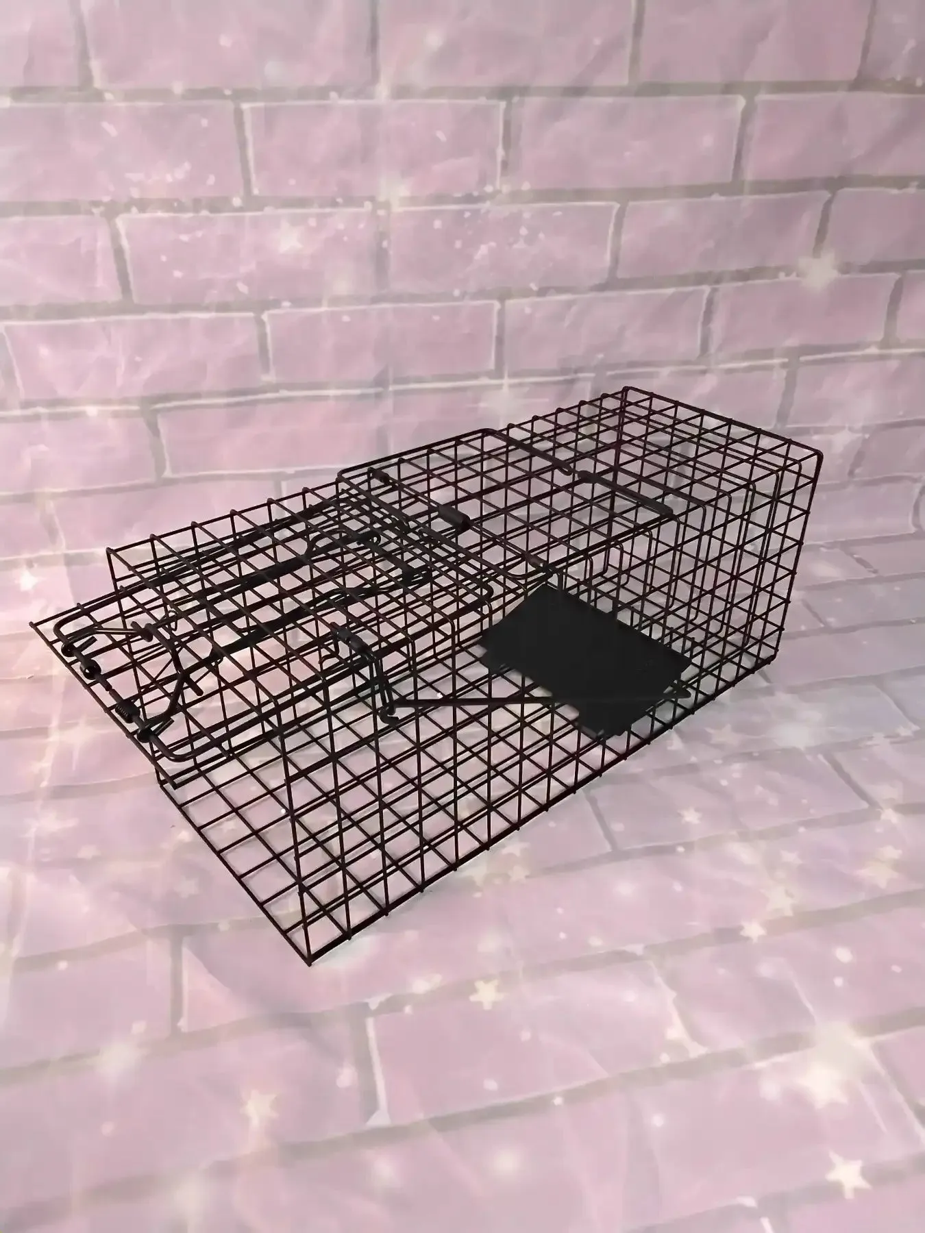 Humane Small Animal Trap
