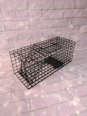 Humane Small Animal Trap