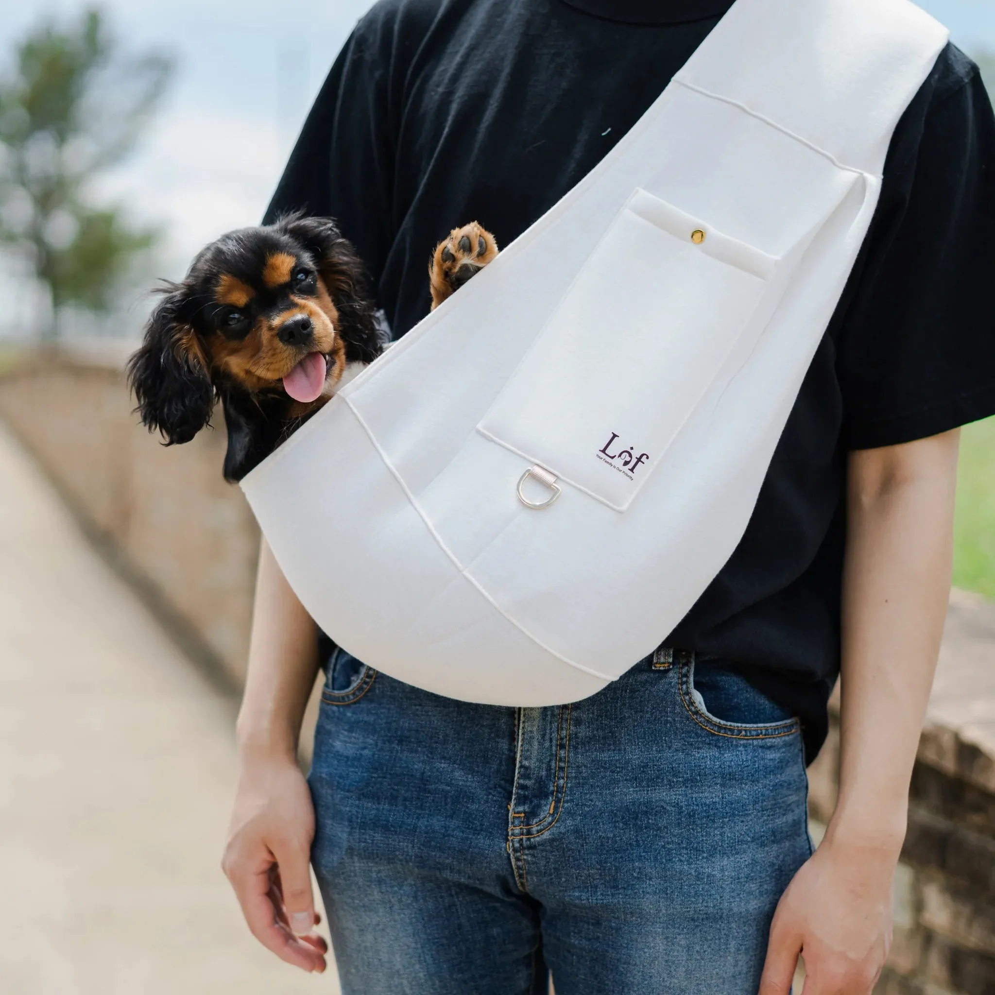 Neoprene Pet Sling Carrier - Travel Bag for Small Dogs and Cats Up to 10 lbs