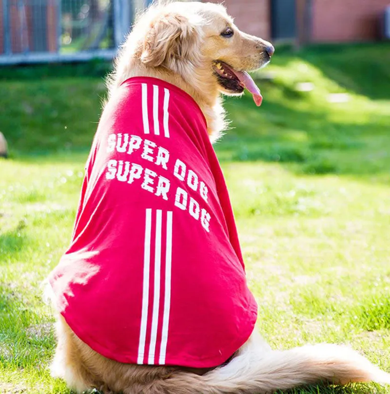 Spring medium and large dog clothes new pet clothes