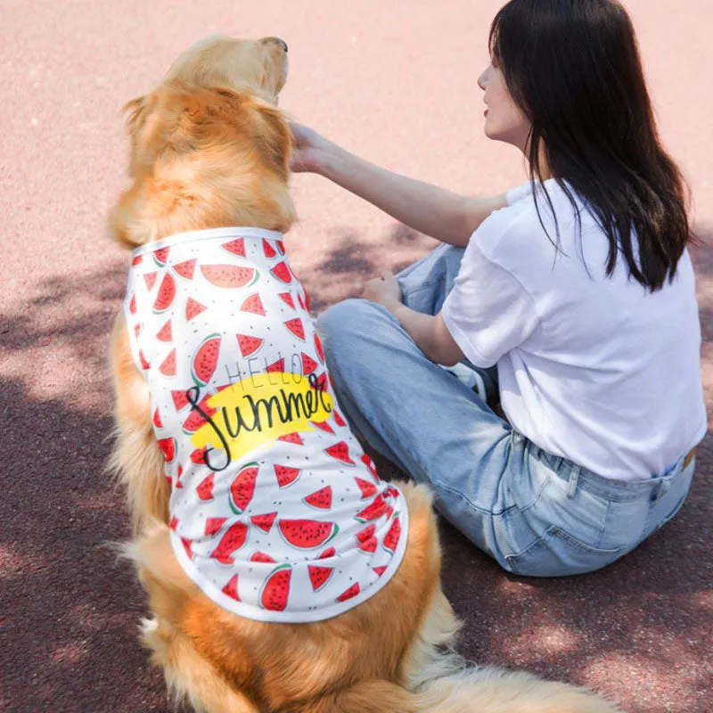 Spring medium and large dog clothes new pet clothes