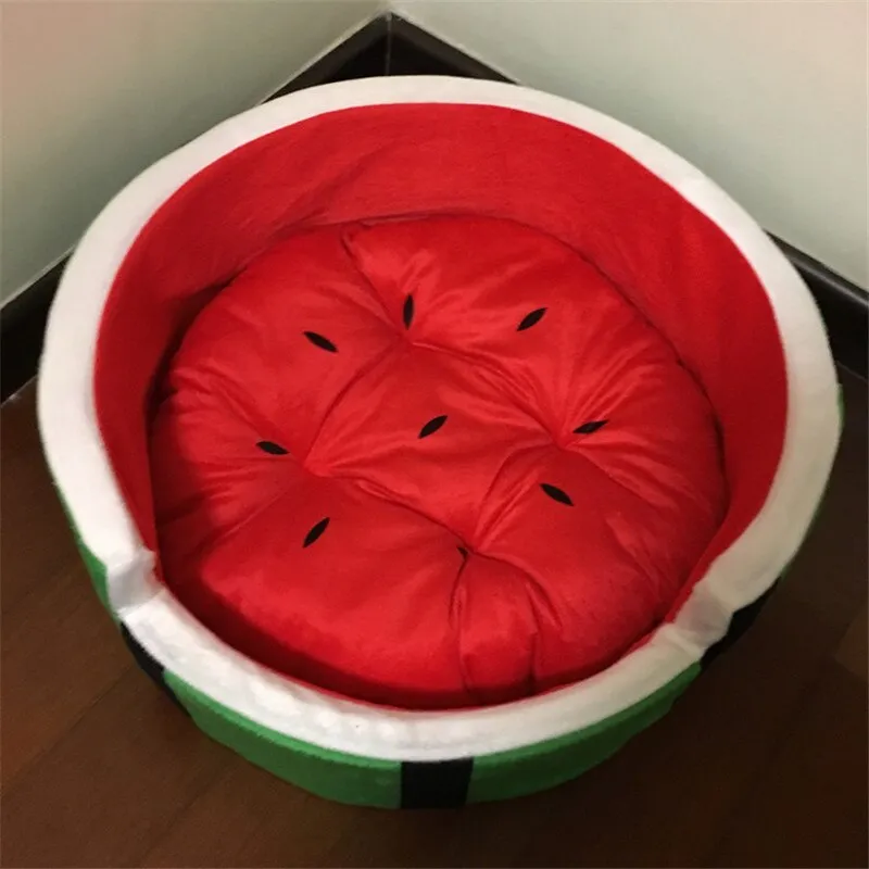 Watermelon Sugar Dog bed