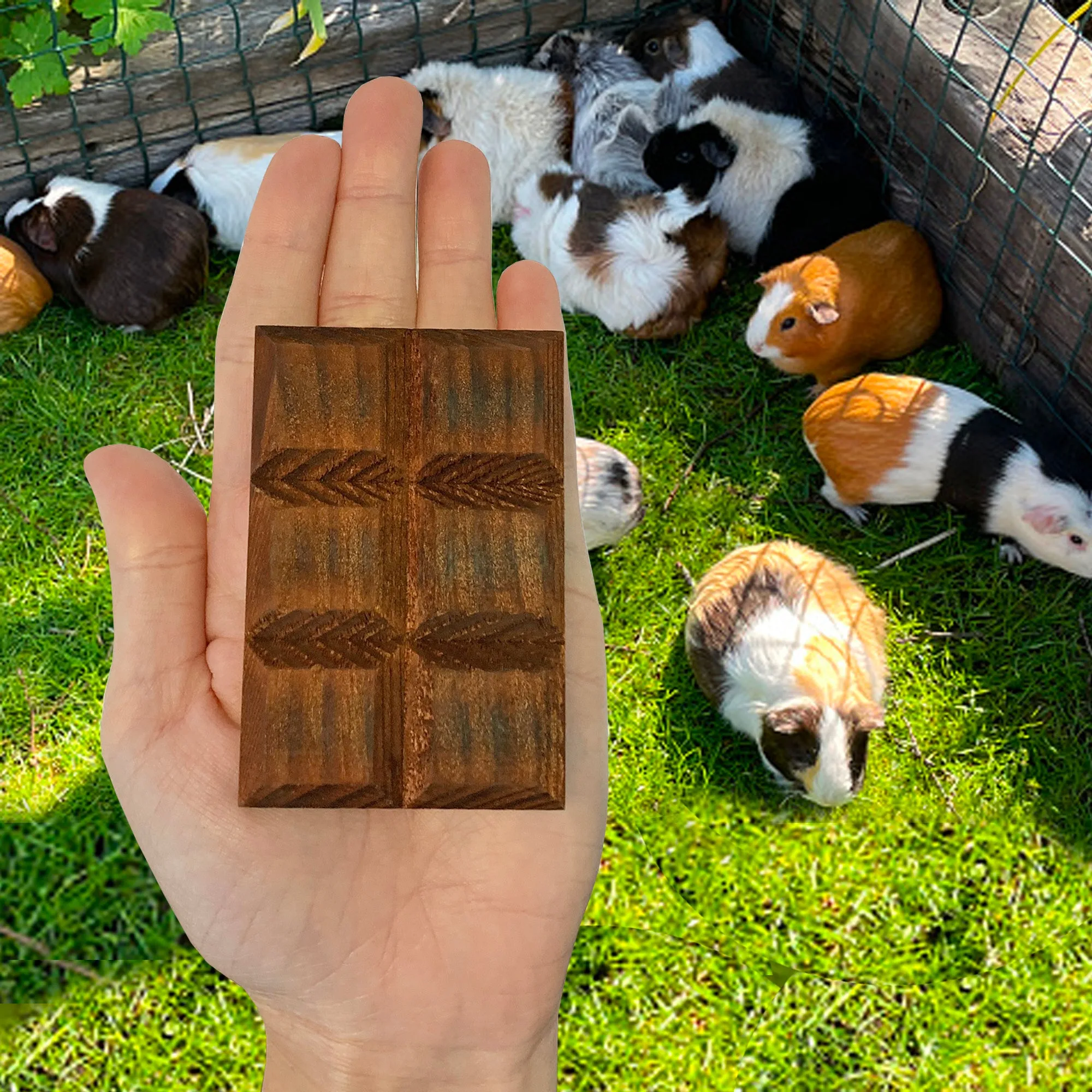 Willow Crunch Bar