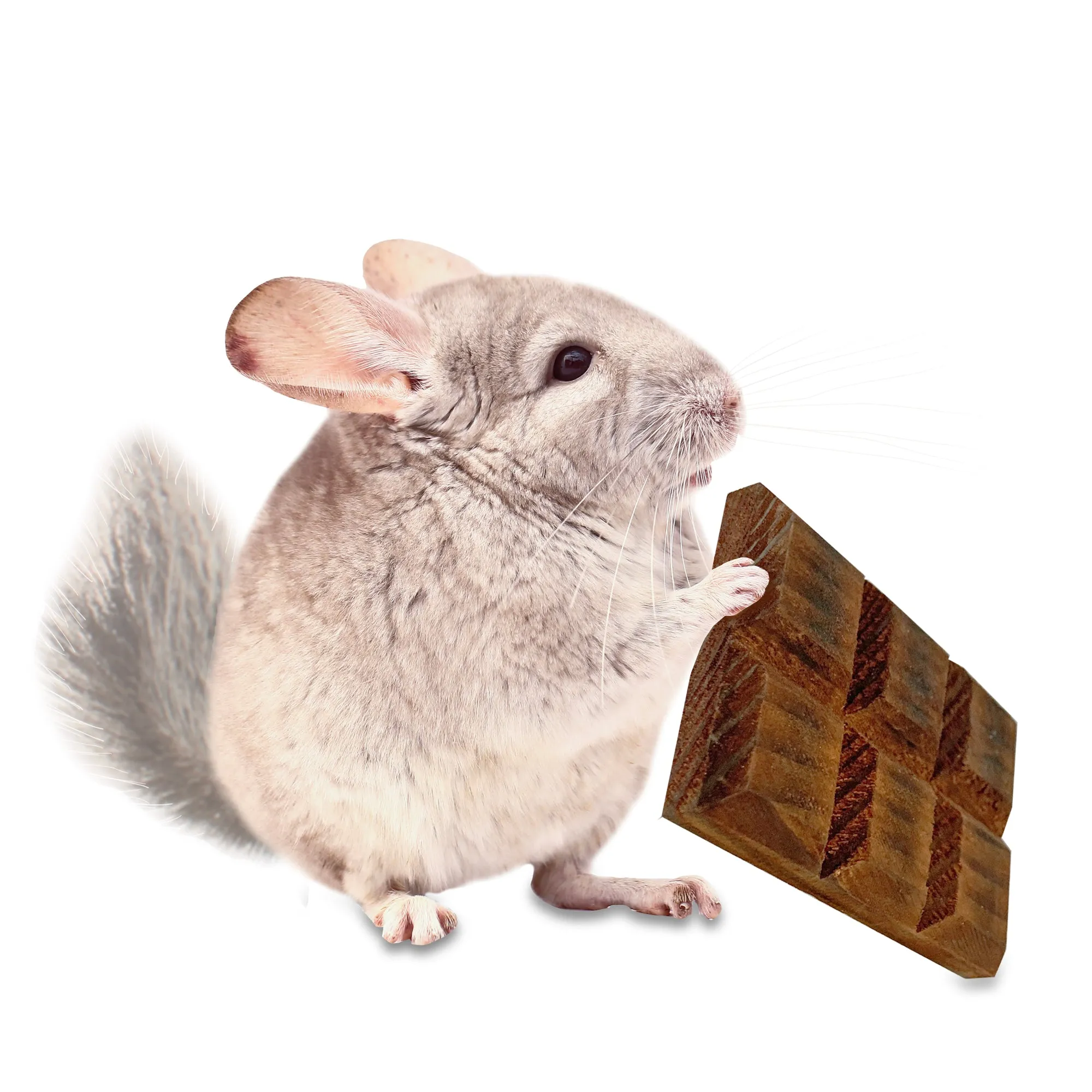 Willow Crunch Bar