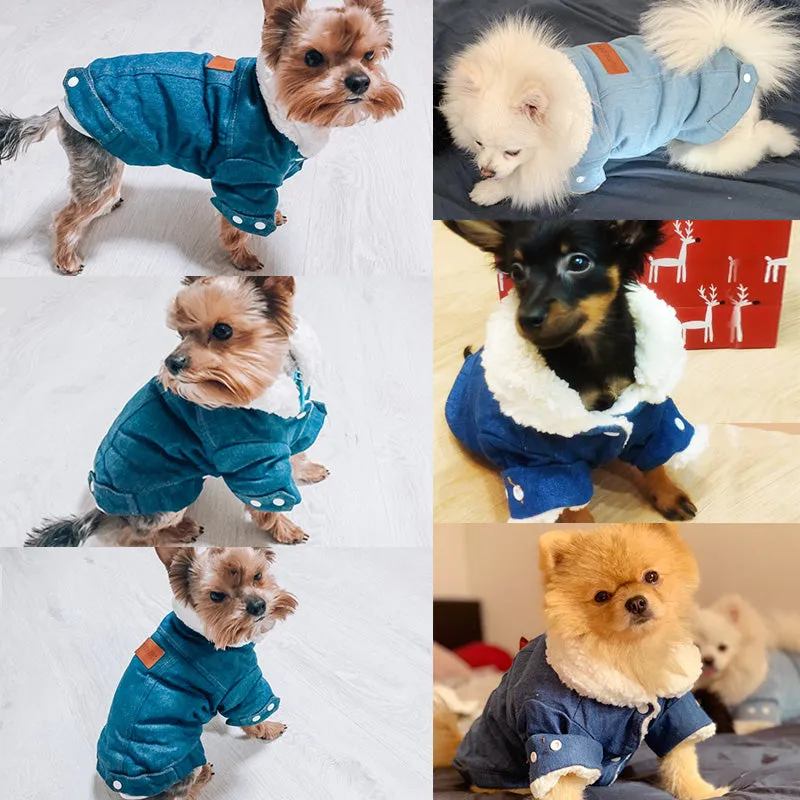 Winter Denim Jacket