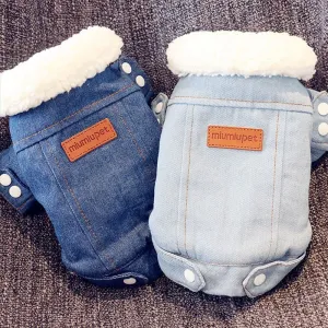 Winter Denim Jacket