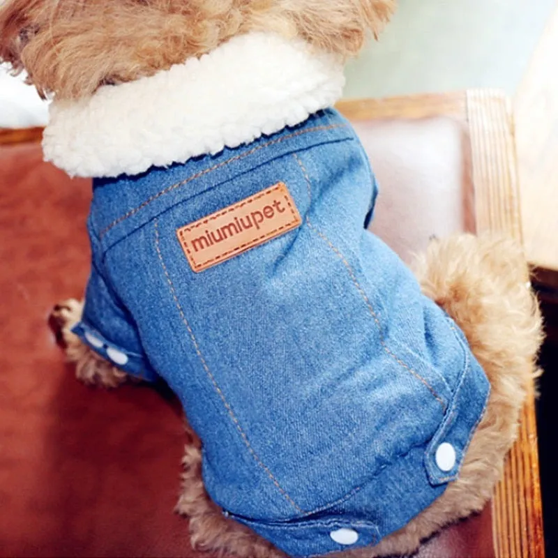 Winter Denim Jacket