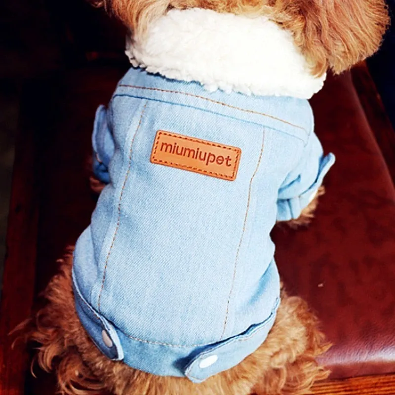Winter Denim Jacket