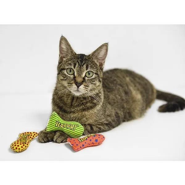 Yeowww! | Catnip Toy | Stinkies Dots